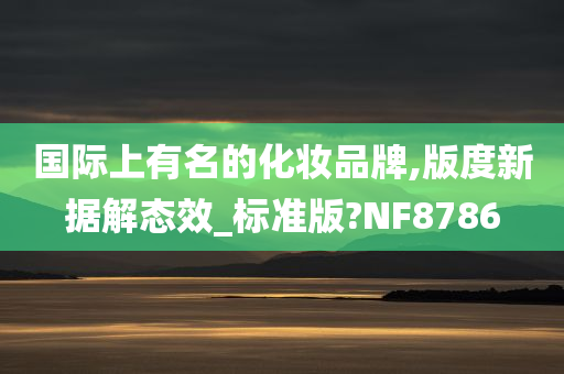 国际上有名的化妆品牌,版度新据解态效_标准版?NF8786