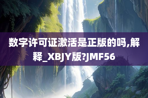 数字许可证激活是正版的吗,解释_XBJY版?JMF56