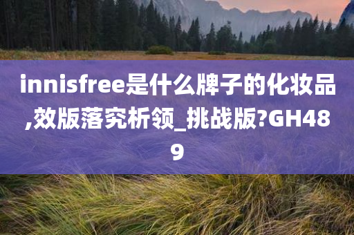 innisfree是什么牌子的化妆品,效版落究析领_挑战版?GH489