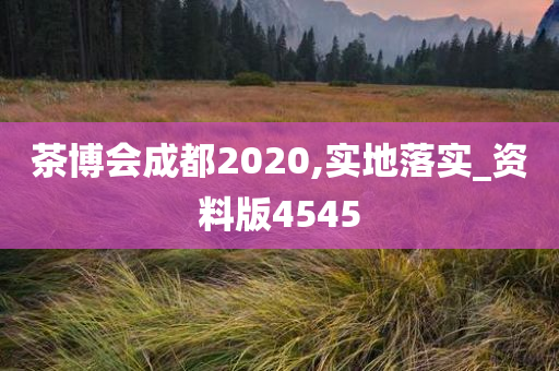 茶博会成都2020,实地落实_资料版4545