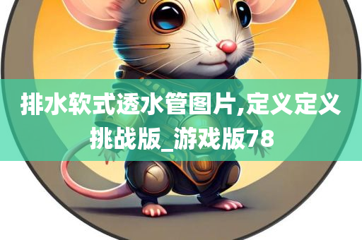 排水软式透水管图片,定义定义挑战版_游戏版78