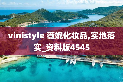 vinistyle 薇妮化妆品,实地落实_资料版4545