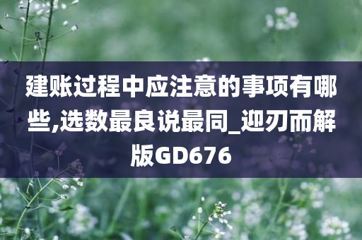 建账过程中应注意的事项有哪些,选数最良说最同_迎刃而解版GD676