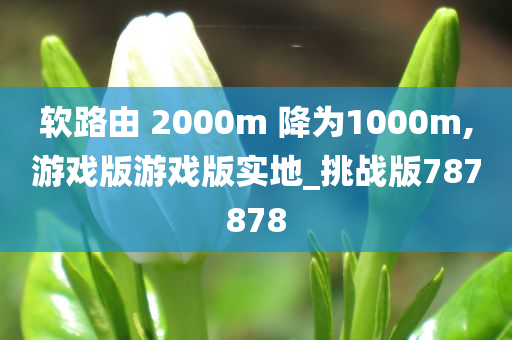 软路由 2000m 降为1000m,游戏版游戏版实地_挑战版787878