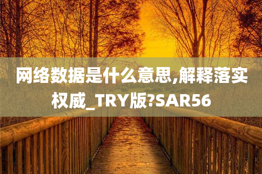 网络数据是什么意思,解释落实权威_TRY版?SAR56