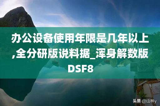 办公设备使用年限是几年以上,全分研版说料据_浑身解数版DSF8