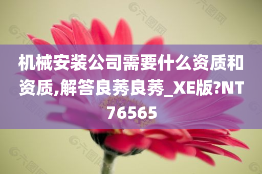 机械安装公司需要什么资质和资质,解答良莠良莠_XE版?NT76565