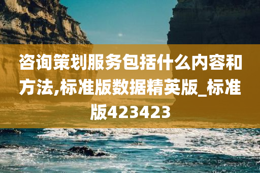 咨询策划服务包括什么内容和方法,标准版数据精英版_标准版423423