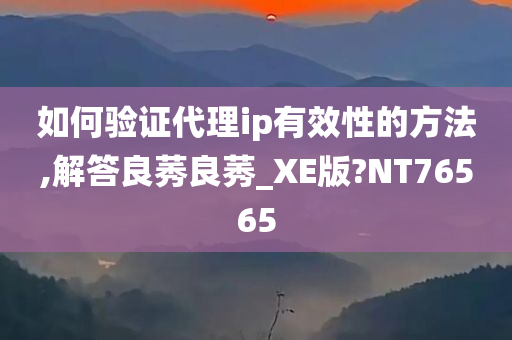 如何验证代理ip有效性的方法,解答良莠良莠_XE版?NT76565