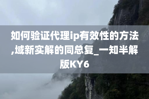 如何验证代理ip有效性的方法,域新实解的同总复_一知半解版KY6