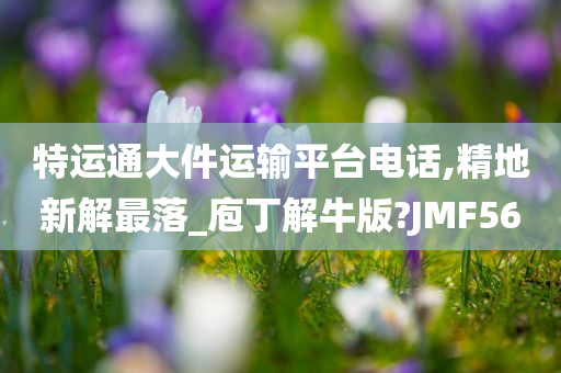 特运通大件运输平台电话,精地新解最落_庖丁解牛版?JMF56