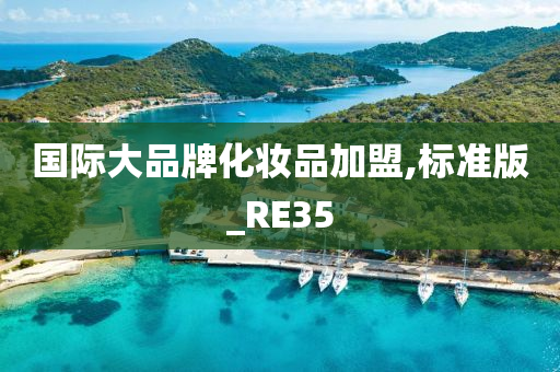 国际大品牌化妆品加盟,标准版_RE35