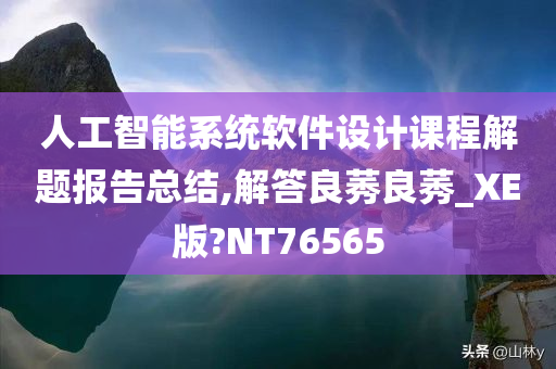 人工智能系统软件设计课程解题报告总结,解答良莠良莠_XE版?NT76565