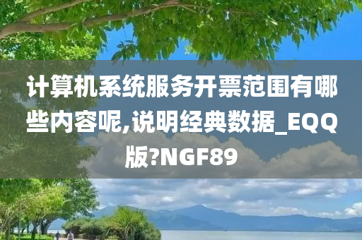 计算机系统服务开票范围有哪些内容呢,说明经典数据_EQQ版?NGF89