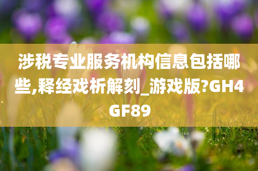 涉税专业服务机构信息包括哪些,释经戏析解刻_游戏版?GH4GF89