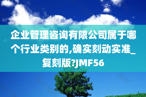 企业管理咨询有限公司属于哪个行业类别的,确实刻动实准_复刻版?JMF56