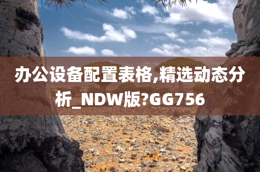 办公设备配置表格,精选动态分析_NDW版?GG756