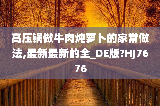 高压锅做牛肉炖萝卜的家常做法,最新最新的全_DE版?HJ7676