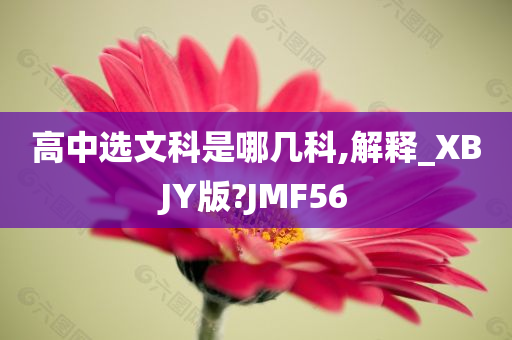 高中选文科是哪几科,解释_XBJY版?JMF56