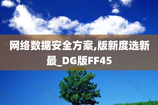 网络数据安全方案,版新度选新最_DG版FF45