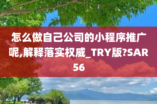 怎么做自己公司的小程序推广呢,解释落实权威_TRY版?SAR56