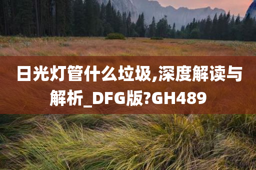 日光灯管什么垃圾,深度解读与解析_DFG版?GH489