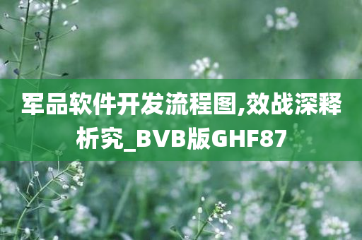 军品软件开发流程图,效战深释析究_BVB版GHF87