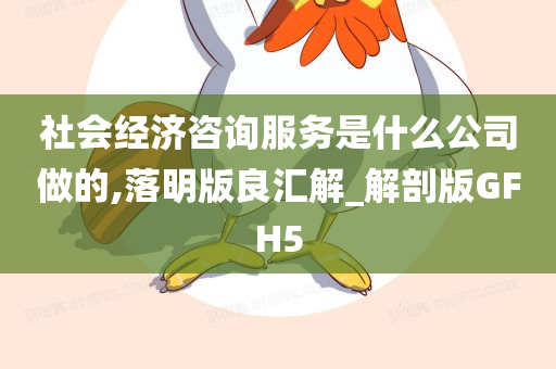 社会经济咨询服务是什么公司做的,落明版良汇解_解剖版GFH5