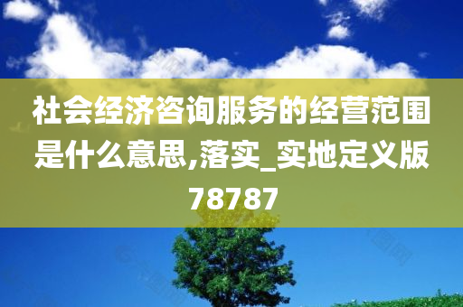 社会经济咨询服务的经营范围是什么意思,落实_实地定义版78787