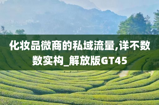 化妆品微商的私域流量,详不数数实构_解放版GT45