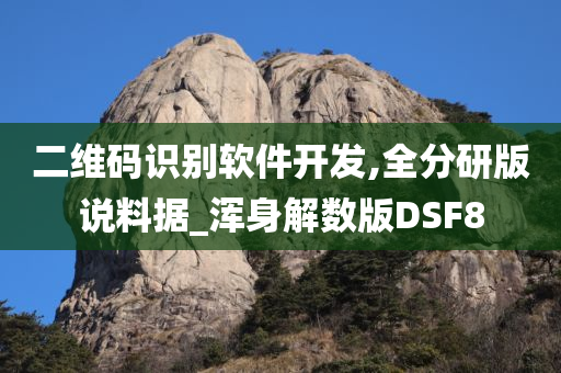 二维码识别软件开发,全分研版说料据_浑身解数版DSF8