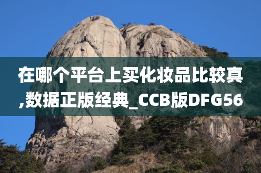 在哪个平台上买化妆品比较真,数据正版经典_CCB版DFG56