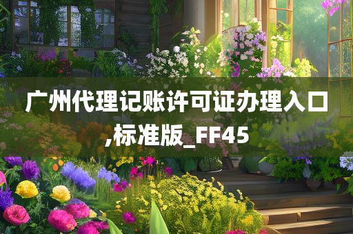 广州代理记账许可证办理入口,标准版_FF45