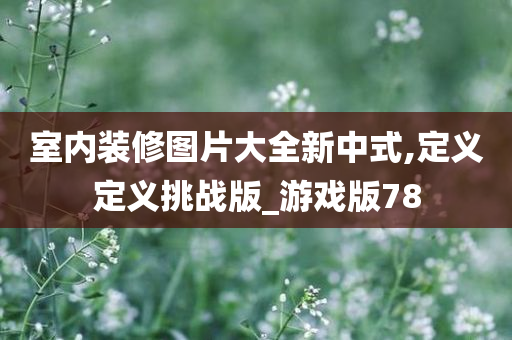 室内装修图片大全新中式,定义定义挑战版_游戏版78