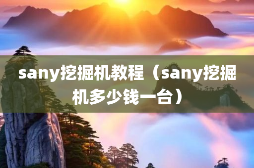 sany挖掘机教程（sany挖掘机多少钱一台）