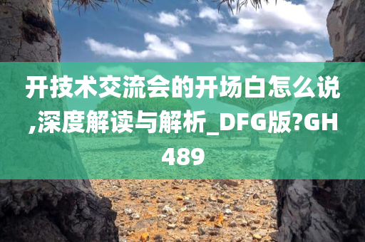 开技术交流会的开场白怎么说,深度解读与解析_DFG版?GH489