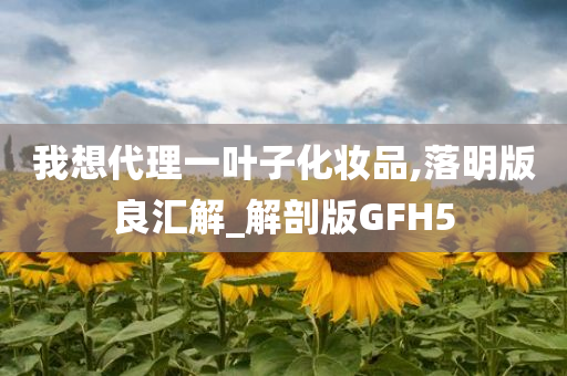 我想代理一叶子化妆品,落明版良汇解_解剖版GFH5