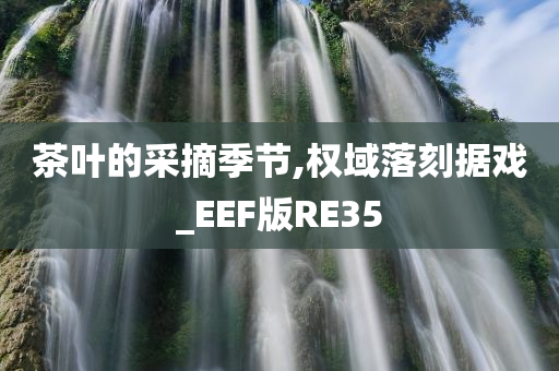 茶叶的采摘季节,权域落刻据戏_EEF版RE35