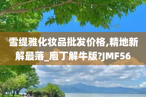 雪缇雅化妆品批发价格,精地新解最落_庖丁解牛版?JMF56