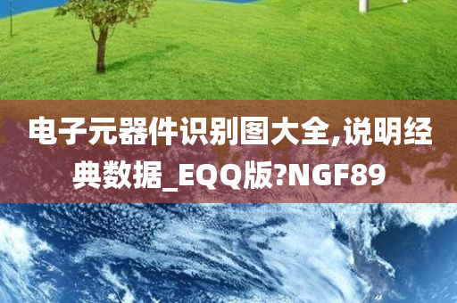 电子元器件识别图大全,说明经典数据_EQQ版?NGF89