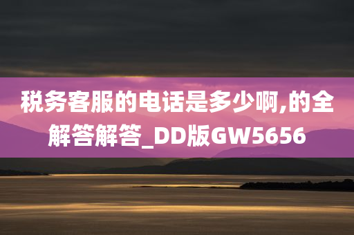 税务客服的电话是多少啊,的全解答解答_DD版GW5656