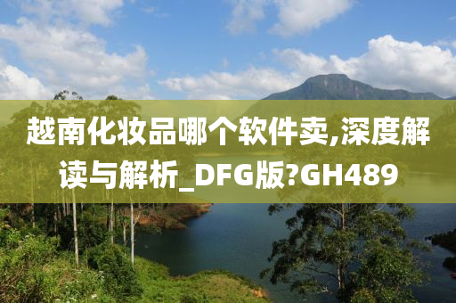 越南化妆品哪个软件卖,深度解读与解析_DFG版?GH489