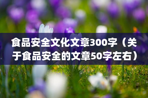 食品安全文化文章300字（关于食品安全的文章50字左右）