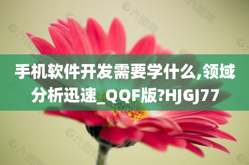 手机软件开发需要学什么,领域分析迅速_QQF版?HJGJ77