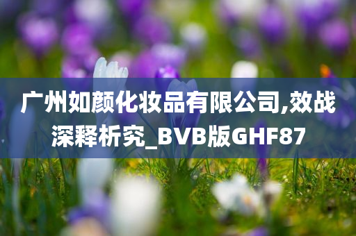 广州如颜化妆品有限公司,效战深释析究_BVB版GHF87