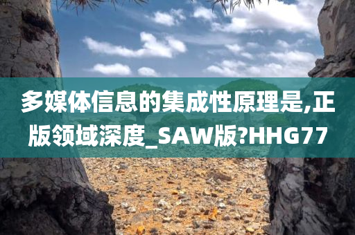 多媒体信息的集成性原理是,正版领域深度_SAW版?HHG77