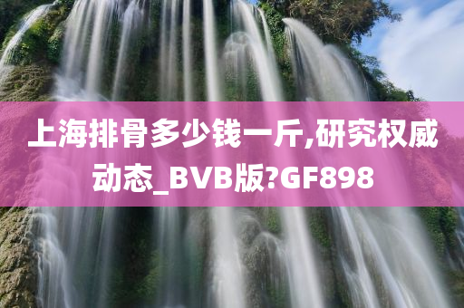 上海排骨多少钱一斤,研究权威动态_BVB版?GF898