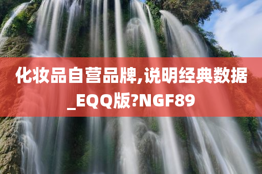 化妆品自营品牌,说明经典数据_EQQ版?NGF89