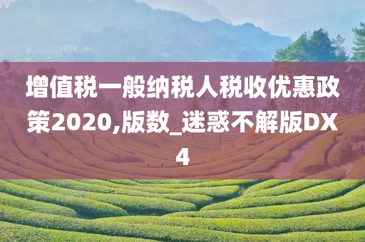 增值税一般纳税人税收优惠政策2020,版数_迷惑不解版DX4