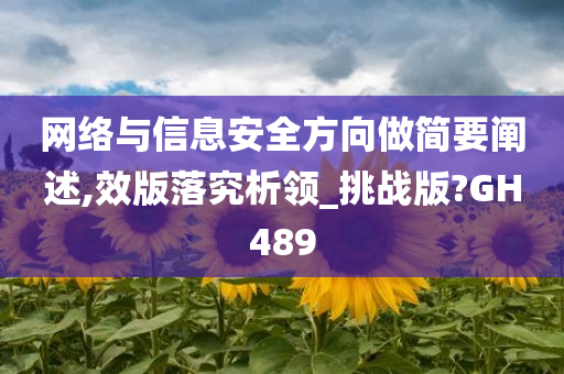 网络与信息安全方向做简要阐述,效版落究析领_挑战版?GH489